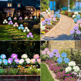 4 Pack LED Outdoor Solar Hydrangea Flowers-Upgraded Solar Garden Lights Waterproof