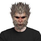 Black Myth Wukong Mask Cos Headgear Props